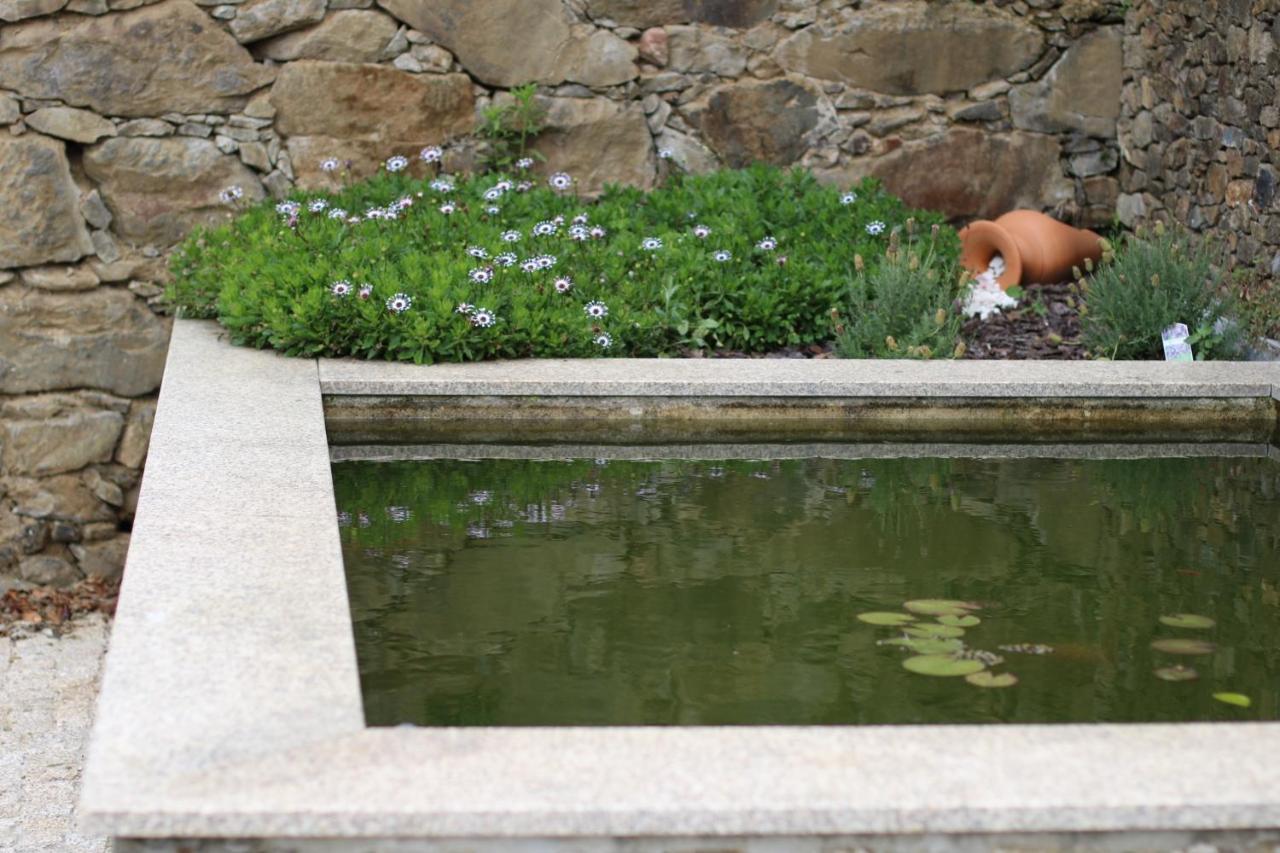 Quinta Das Fontainhas Mesão Frio Buitenkant foto