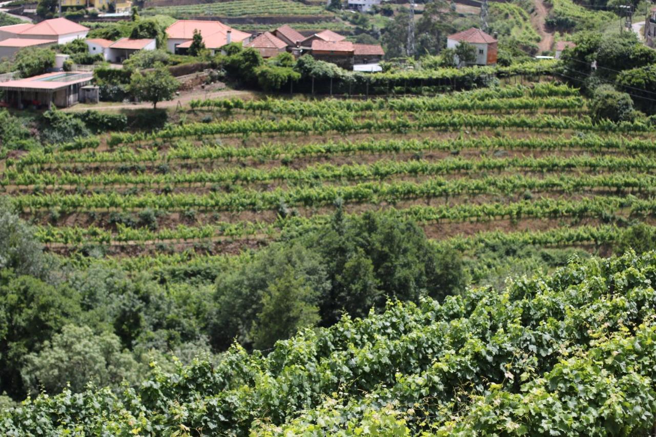 Quinta Das Fontainhas Mesão Frio Buitenkant foto